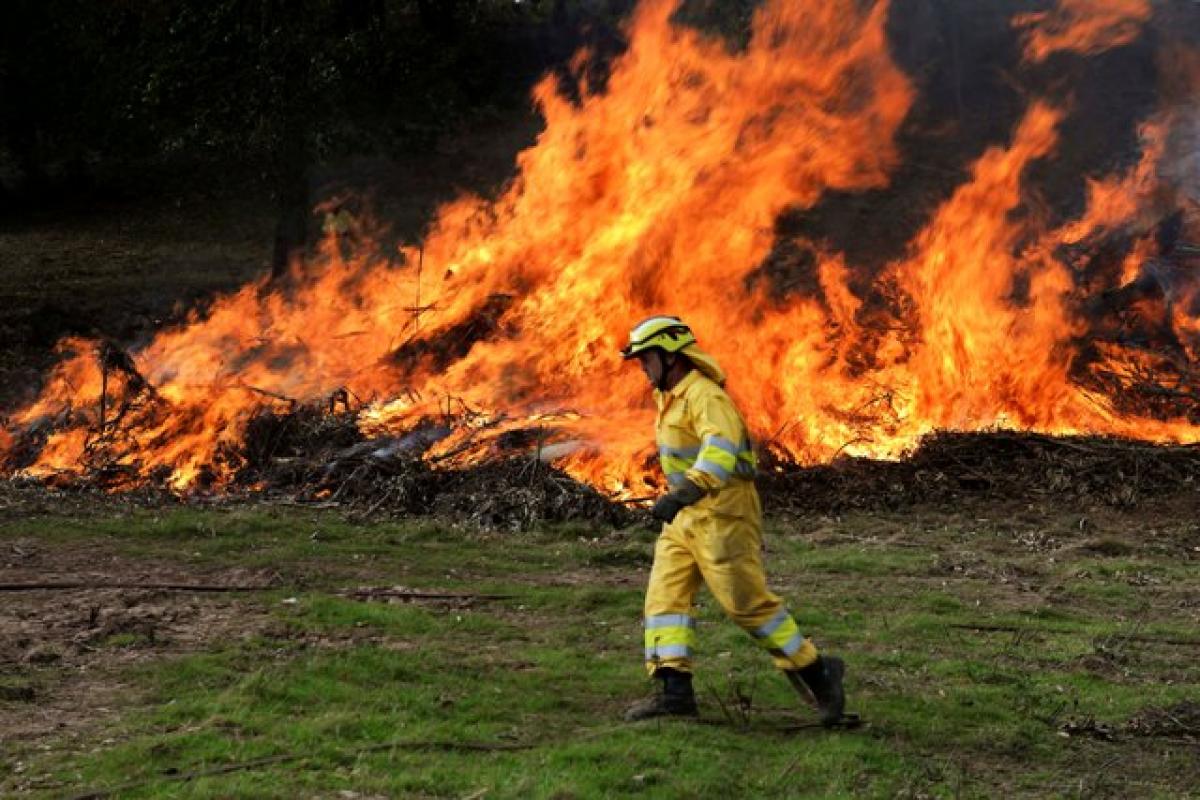 Brigadas forestales en la extincin de un fuego