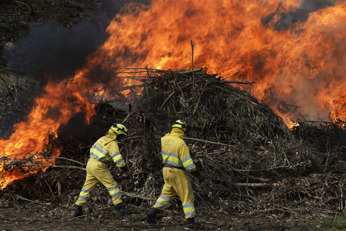 Bomberos forestales apagando un incendio